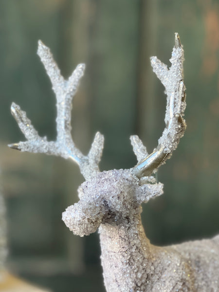 Dasher Deer | 14" | SOLD OUT