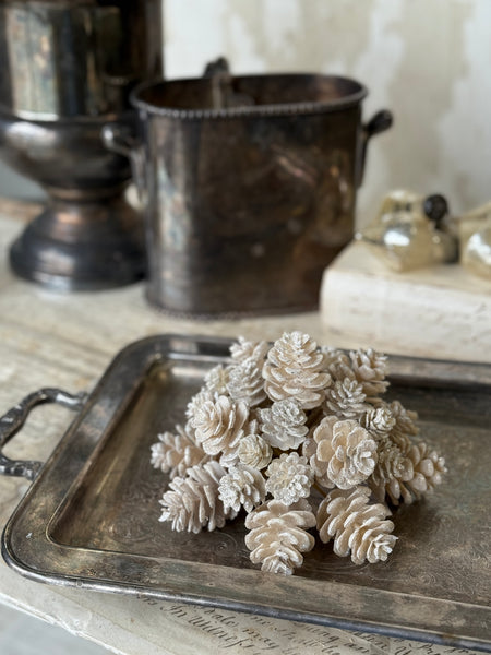 Glittering Ivory Cone Half Sphere | 7" | NOT CURRENTLY IN STOCK-New For Holiday 2026!