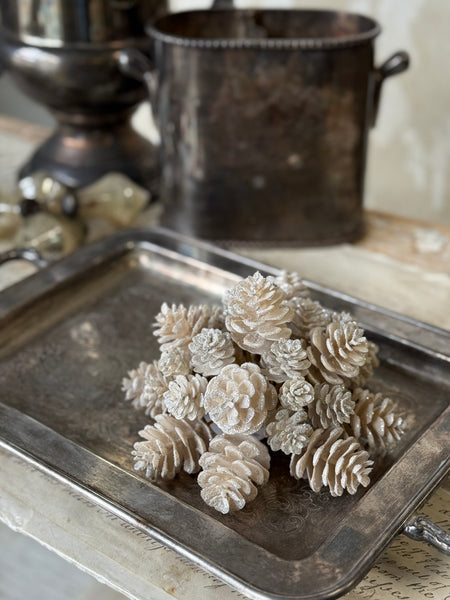 Glittering Ivory Cone Half Sphere | 7" | NOT CURRENTLY IN STOCK-New For Holiday 2026!