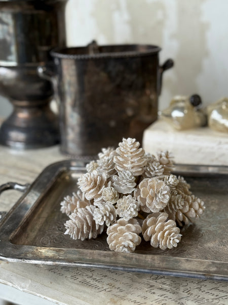 Glittering Ivory Cone Half Sphere | 7" | NOT CURRENTLY IN STOCK-New For Holiday 2026!