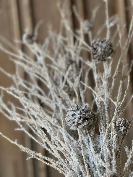 Winterwood Thicket Bundle | 39" | SOLD OUT