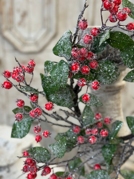 Snow Blaze Berry Wreath | 16" | NOT CURRENTLY IN STOCK-New For Holiday 2026!