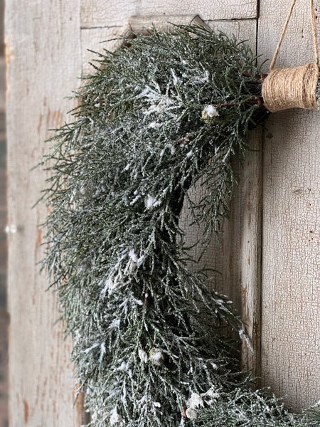 Winterpine Dream Hanging Wreath | 24"