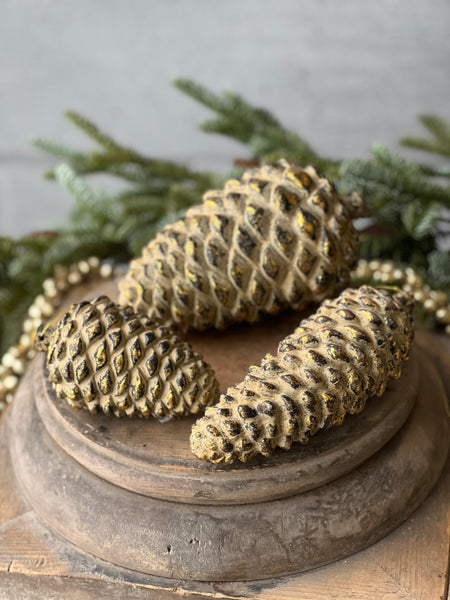 Nature's Masterpiece | 5.5" | Pinecone | SOLD OUT