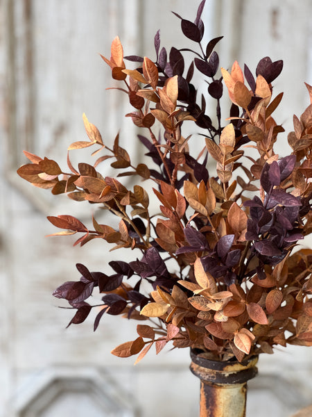 Ombre Woods Bush | 18" | SOLD OUT