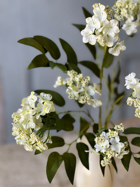 Bimini Blooms | 20" | Cream