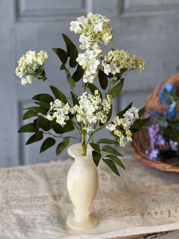 Bimini Blooms | 20" | Cream