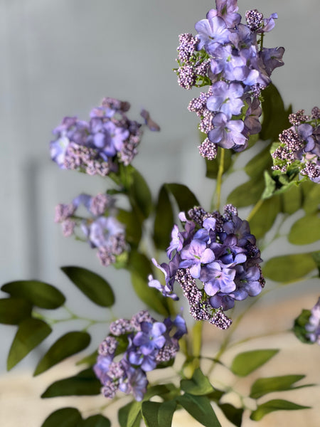 Bimini Blooms | 20" | Lavender