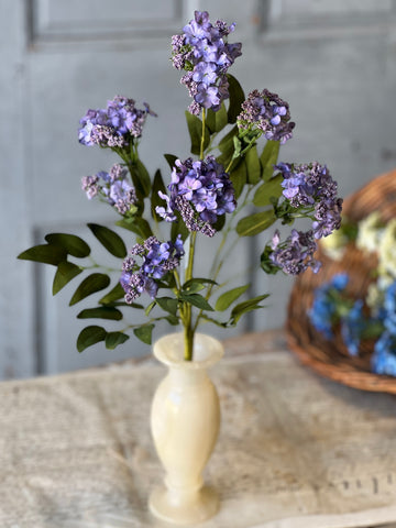 Bimini Blooms | 20" | Lavender