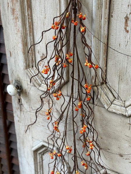 Wild Vine Bittersweet Hanging Vine | 5' | NOT CURRENTLY IN STOCK-New For Holiday 2026!