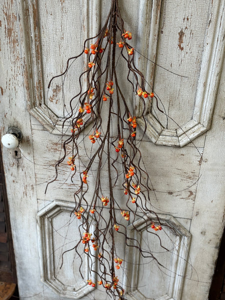 Wild Vine Bittersweet Hanging Vine | 5' | NOT CURRENTLY IN STOCK-New For Holiday 2026!