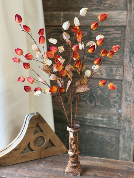 Pathlight Buds | 34" | Heatwave | NOT CURRENTLY IN STOCK-New For Holiday 2026!