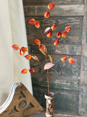 Pathlight Buds | 34" | Flicker | NOT CURRENTLY IN STOCK-New For Holiday 2026!