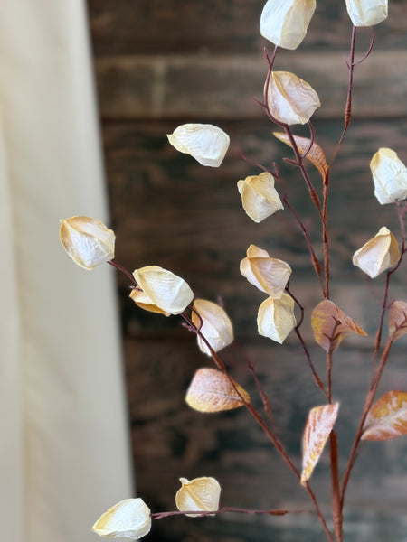 Pathlight Buds | 34" | Cream | NOT CURRENTLY IN STOCK-New For Holiday 2026!