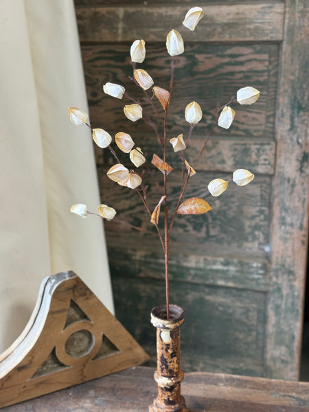 Pathlight Buds | 34" | Cream | NOT CURRENTLY IN STOCK-New For Holiday 2026!