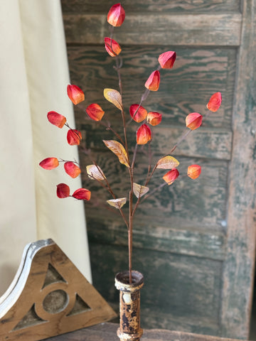 Pathlight Buds | 34" | Heatwave | NOT CURRENTLY IN STOCK-New For Holiday 2026!