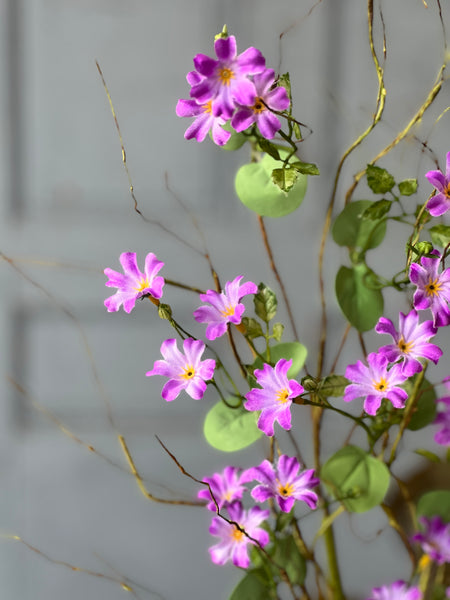 Nomad's Path Spray | 38" | Lilac | Limited Stock - Last 144pcs! (will be discontinued for Spring 2026)