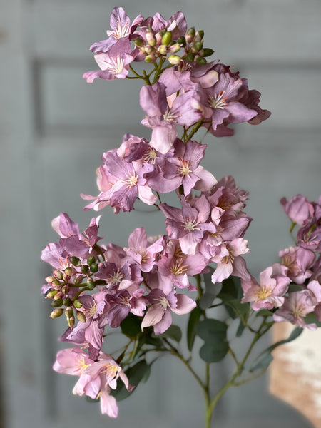 Windmere Blossoms | 34" | Lotus