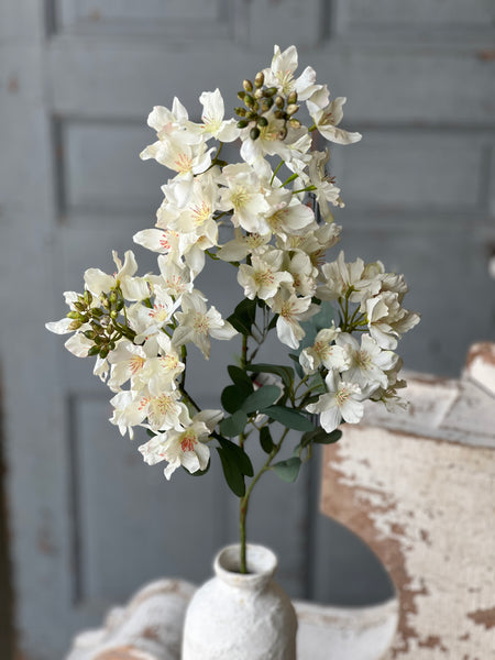 Windmere Blossoms | 34" | Cream
