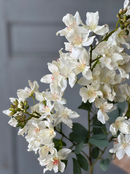 Windmere Blossoms | 34" | Cream
