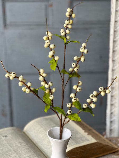 Caprice Berry Spray | 29" | Cream