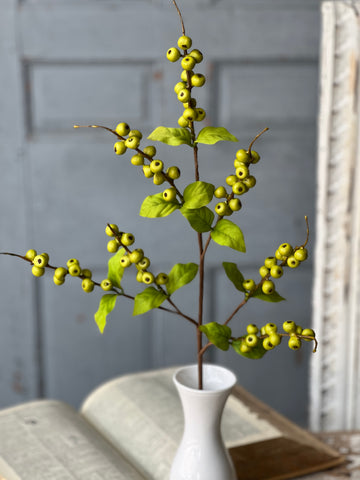 Caprice Berry Spray | 29" | Lime