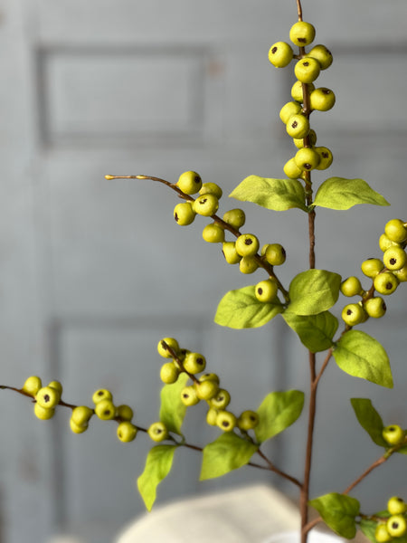 Caprice Berry Spray | 29" | Lime