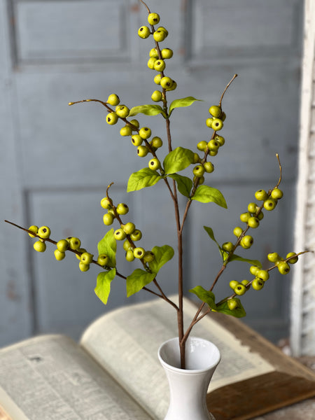 Caprice Berry Spray | 29" | Lime