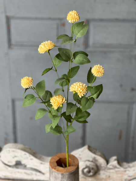 Chaplet Buds | 34" | Yellow | NOT CURRENTLY IN STOCK-New For Spring 2026!