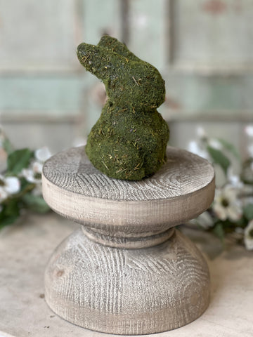 Hare Hollow Bunny | 4" | NOT CURRENTLY IN STOCK-New For Spring 2026!