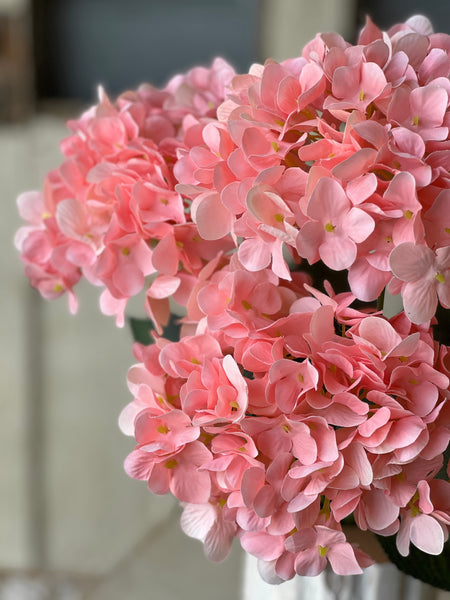 Harkness Hydrangea | 19.5" | Pink | NOT CURRENTLY IN STOCK-New For Spring 2026!