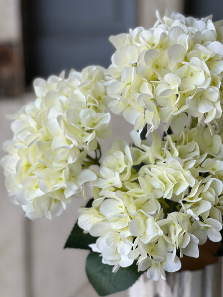Harkness Hydrangea | 19.5" | Cream | NOT CURRENTLY IN STOCK-New For Spring 2026!