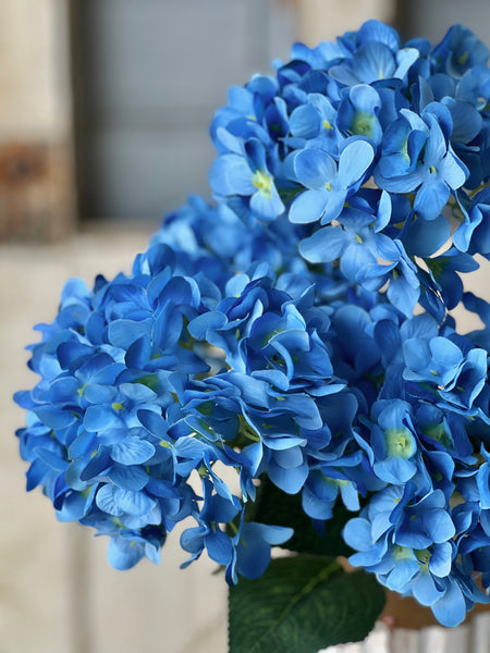 Harkness Hydrangea | 19.5" | Blue | NOT CURRENTLY IN STOCK-New For Spring 2026!