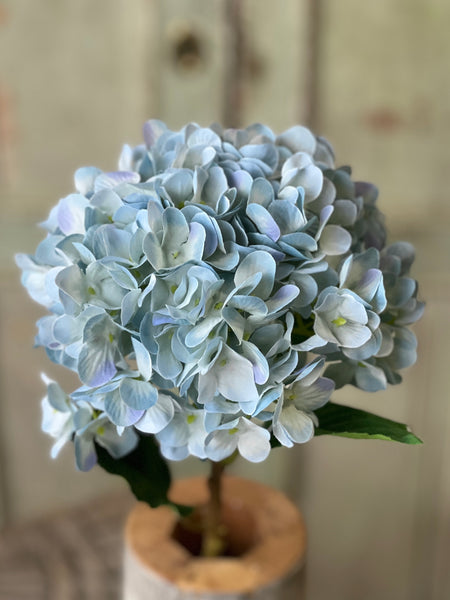 Callahan Hydrangea | 21.5" | Blue | NOT CURRENTLY IN STOCK-New For Spring 2026!