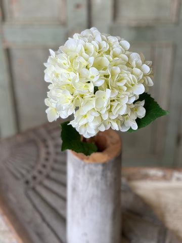 Callahan Hydrangea | 21.5" | Cream | NOT CURRENTLY IN STOCK-New For Spring 2026!