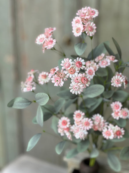Layette Daisy Bush | 20" | Pink | NOT CURRENTLY IN STOCK-New For Spring 2026!