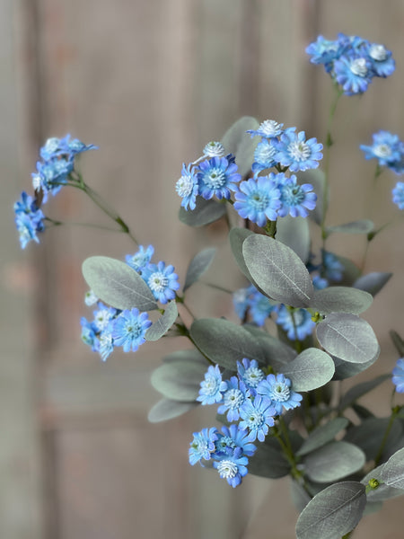 Layette Daisy Bush | 20" | Blue | NOT CURRENTLY IN STOCK-New For Spring 2026!