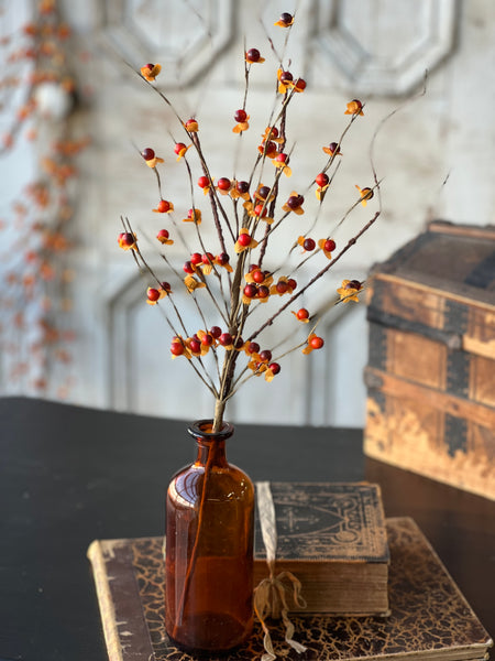 Ruskin Bittersweet Pick | 20" | NEW CLOSEOUT!  From $1.90