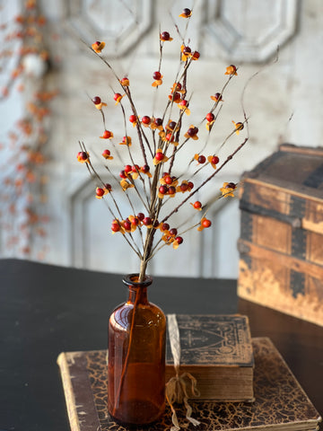 Ruskin Bittersweet Pick | 20" | NEW CLOSEOUT!  From $1.90