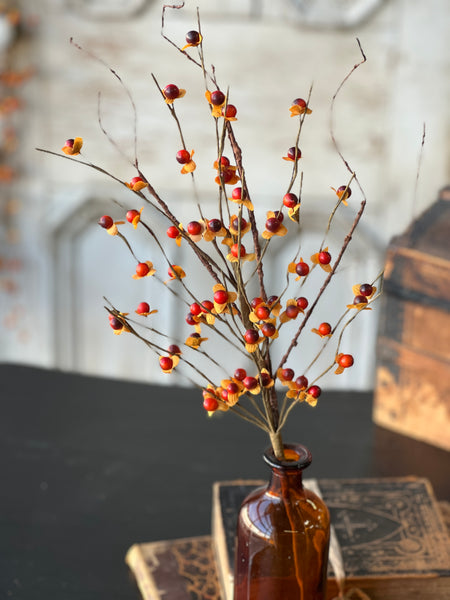 Ruskin Bittersweet Pick | 20" | NEW CLOSEOUT!  From $1.90