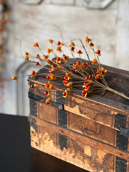 Ruskin Bittersweet Pick | 20" | NEW CLOSEOUT!  From $1.90