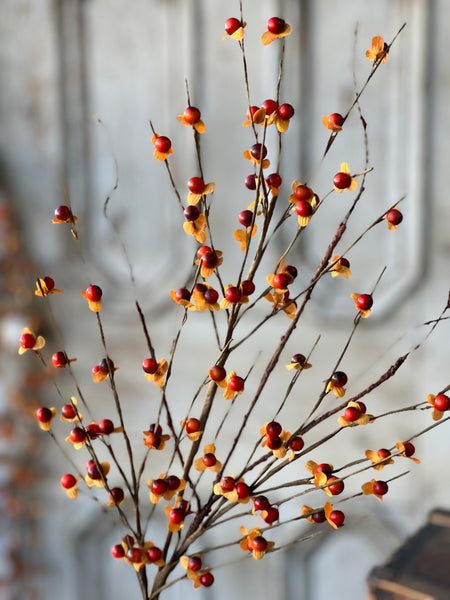 Ruskin Bittersweet Spray | 31" | NEW CLOSEOUT + CLEAN UP SPECIAL!  From $2.95 - Last 84pcs!