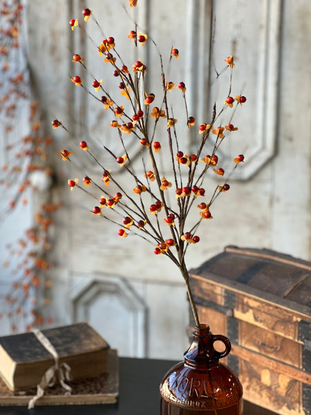 Ruskin Bittersweet Spray | 31" | NEW CLOSEOUT + CLEAN UP SPECIAL!  From $2.95 - Last 84pcs!