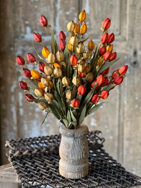 Beacon Bush | 23" | Garnet