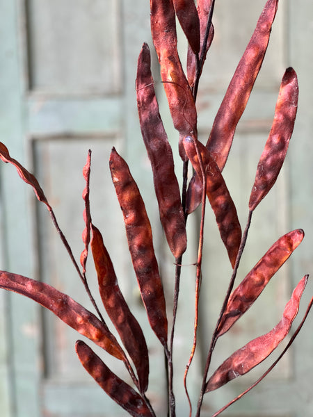 Chickory Pod Spray | 28" | Rust | SOLD OUT