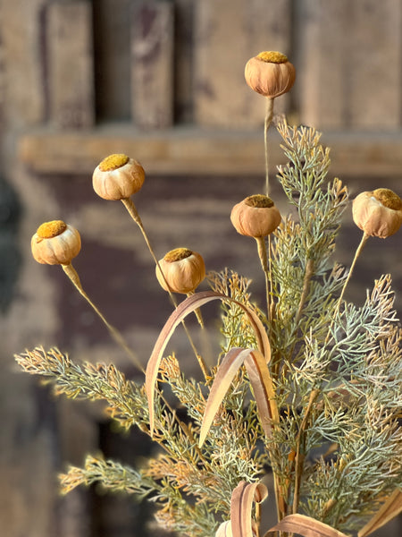 Poppy Pod Bush | 22" | Mello | SOLD OUT