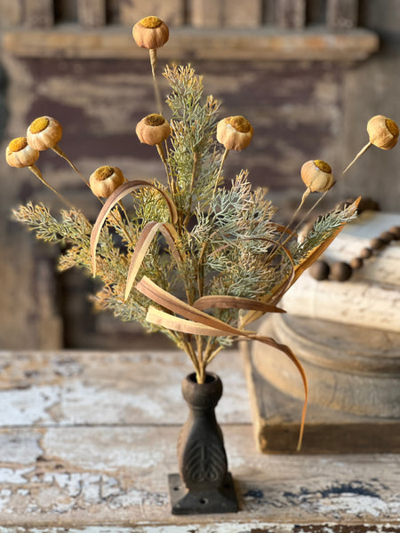 Poppy Pod Bush | 22" | Mello | SOLD OUT