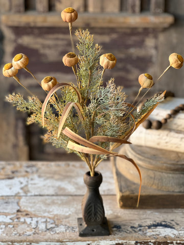 Poppy Pod Bush | 22" | Mello | SOLD OUT