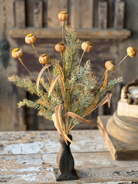 Poppy Pod Bush | 22" | Mello | SOLD OUT