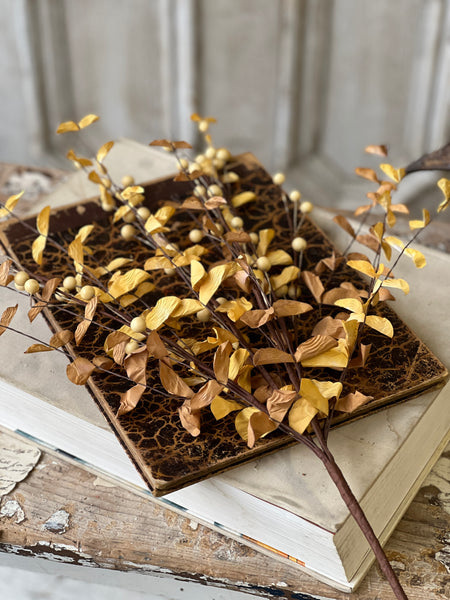 Morse Berry Bush | 26" | Yellow